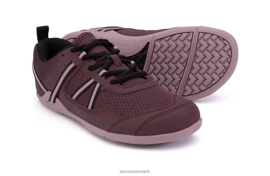 Feige / Holunder Xero Shoes Prio Lauf- und Fitnessschuh - Damen J2Z24266
