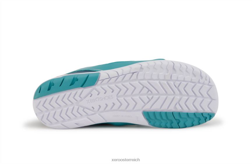 Wolke / Porzellanblau Xero Shoes zelen – Ihr umweltfreundlicher Roadrunner J2Z24144