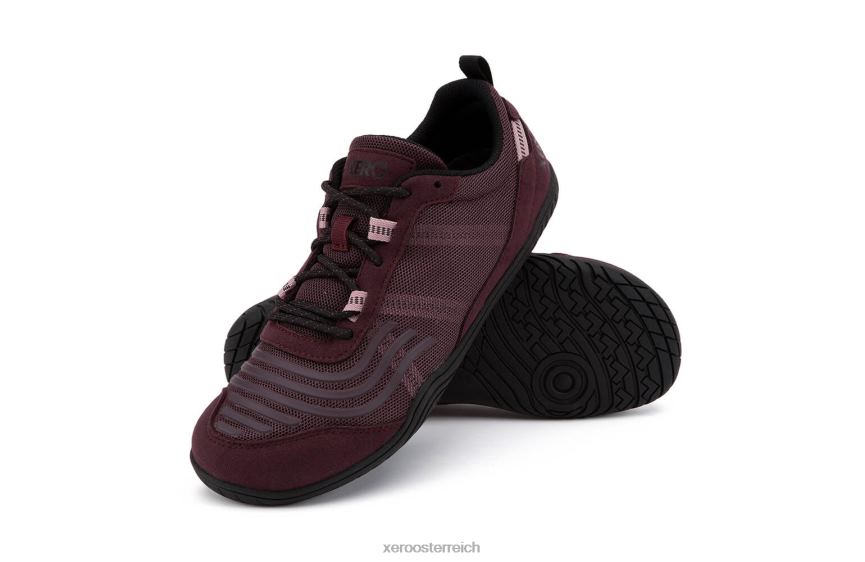 feige / schwarz Xero Shoes 360°C Frauen J2Z24142